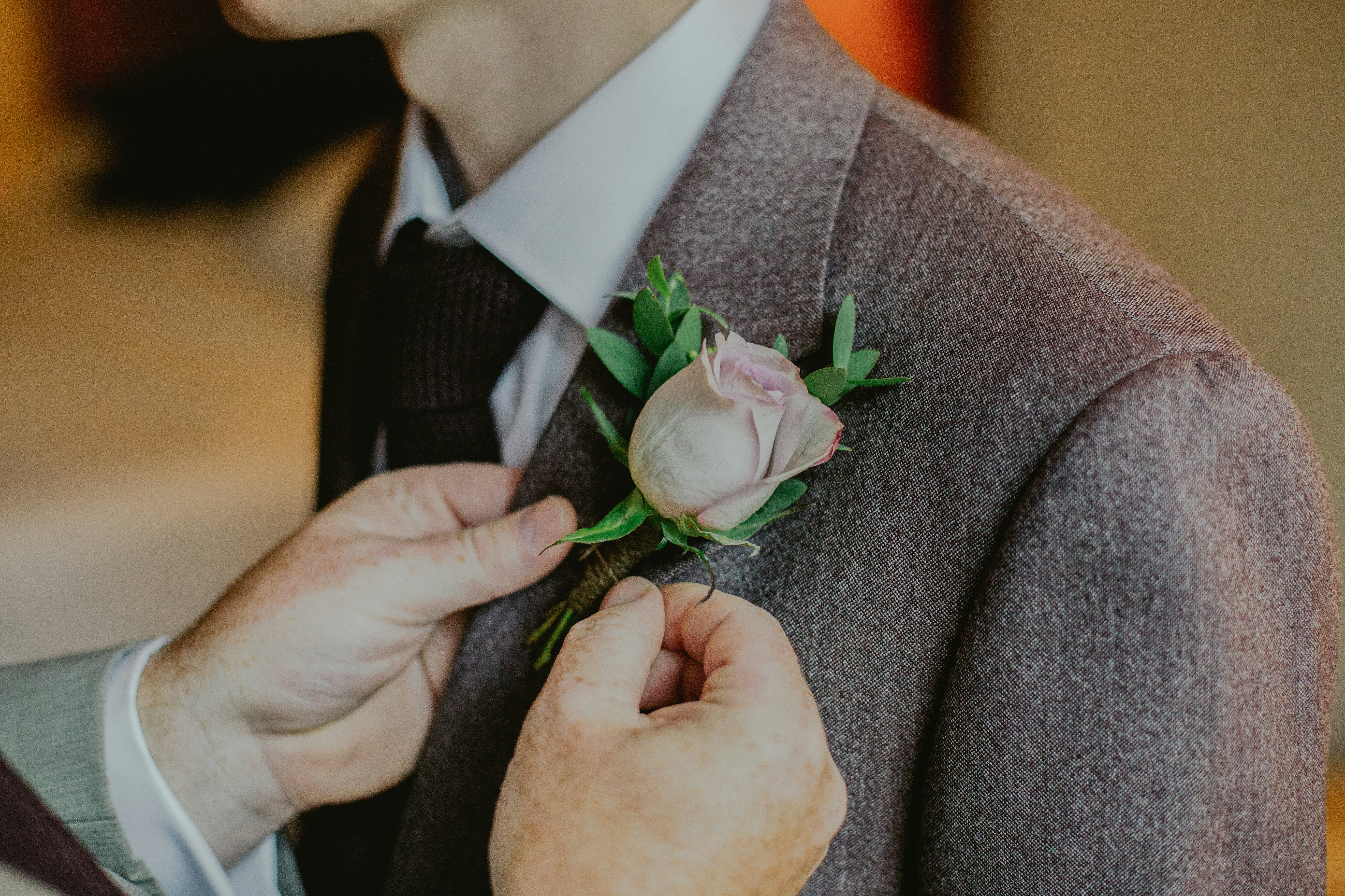 person putting pink rose pin on person's notched lapel suit jacket